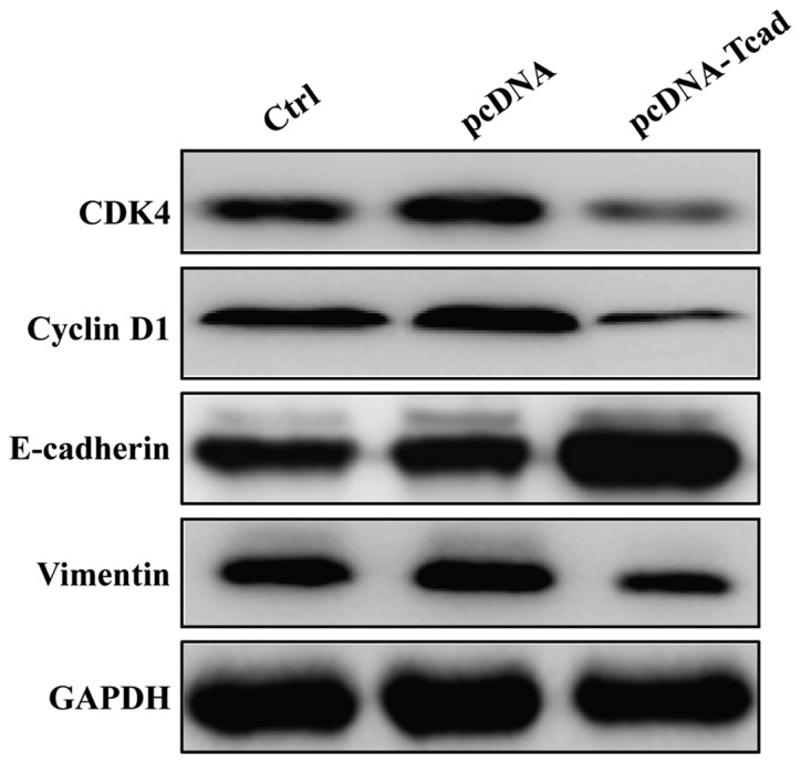 Figure 5.