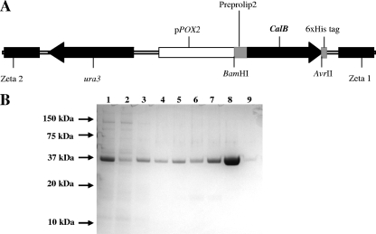 FIG. 1.