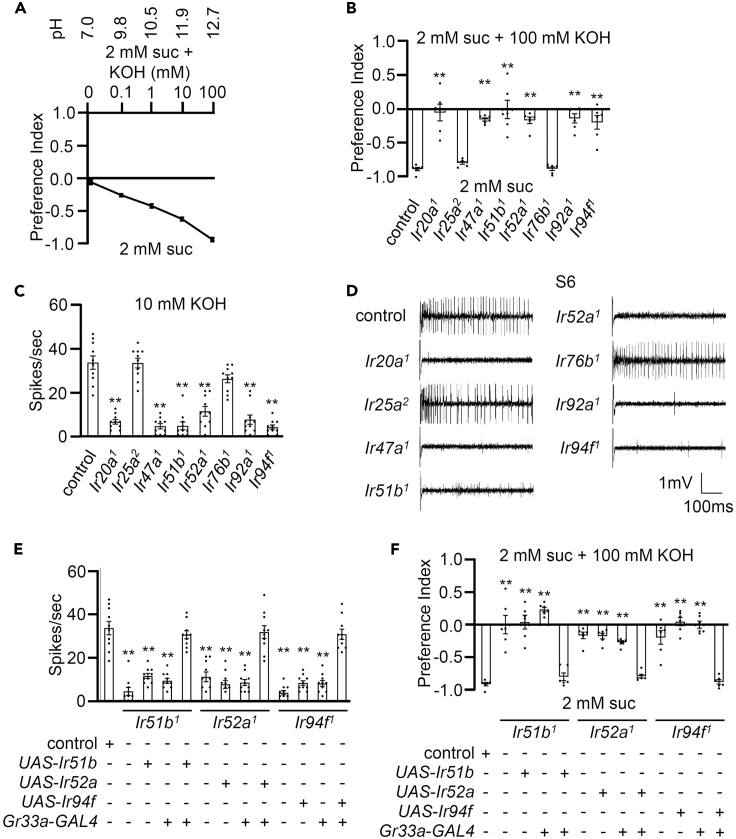 Figure 4