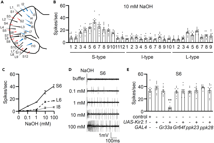 Figure 1