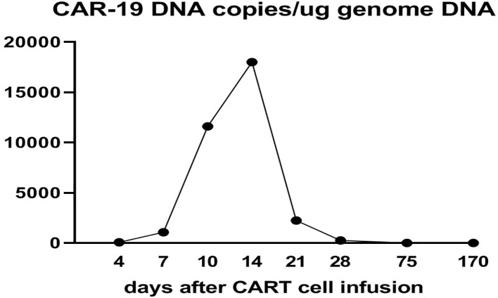 Figure 3