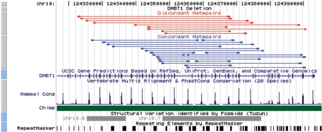 Fig. 7.