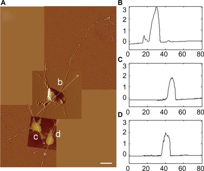 Figure 7