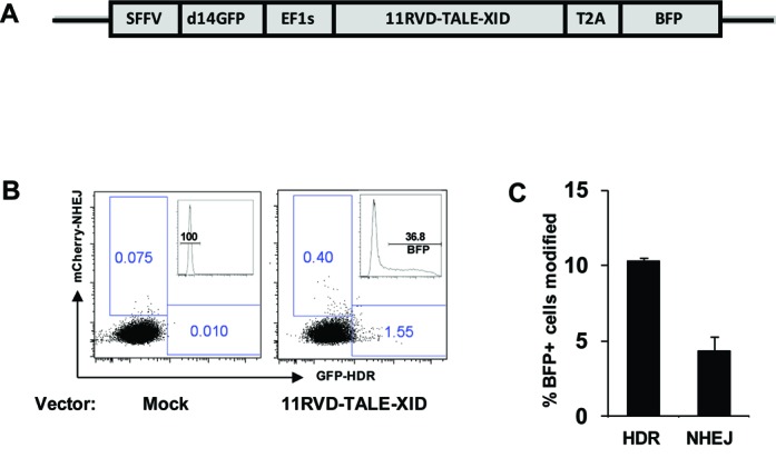 Figure 6.