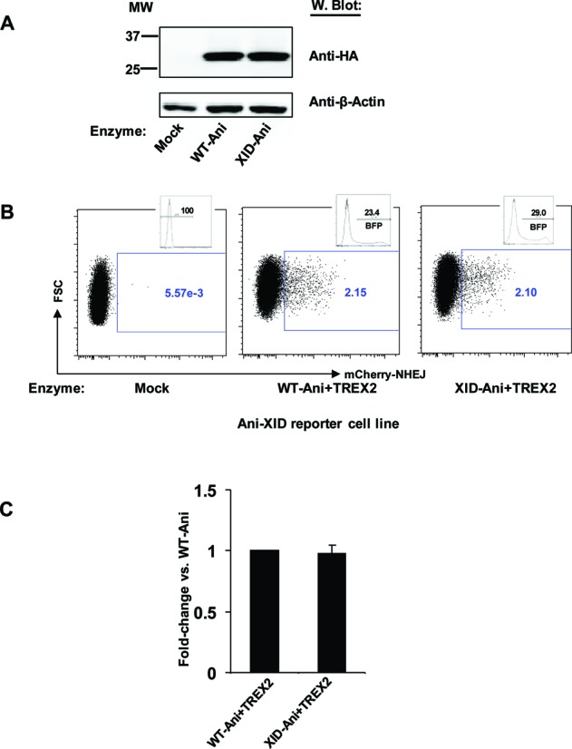 Figure 3.