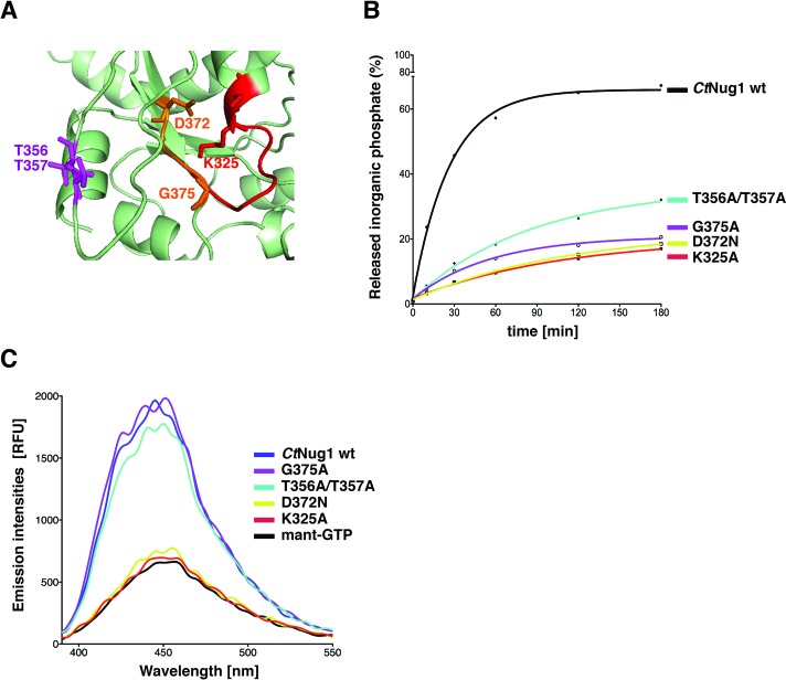 Figure 3.