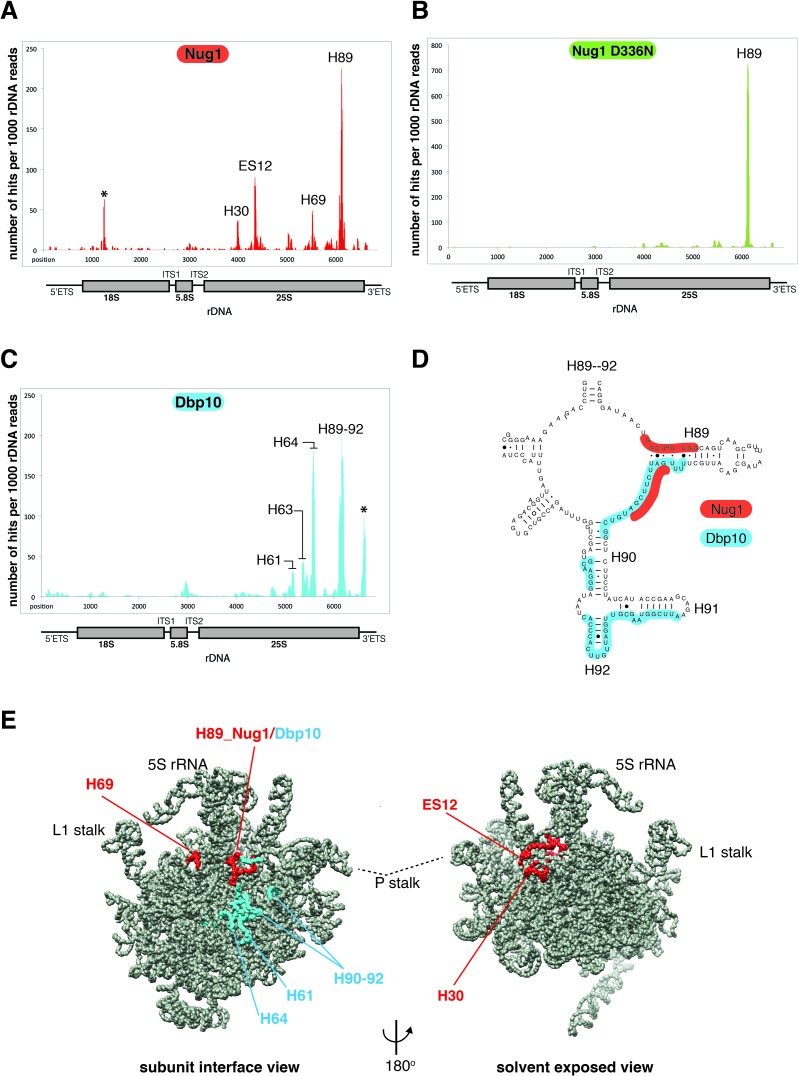 Figure 6.