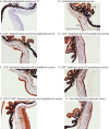 FIG 13