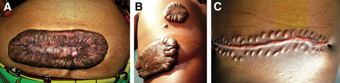 Fig. 9.