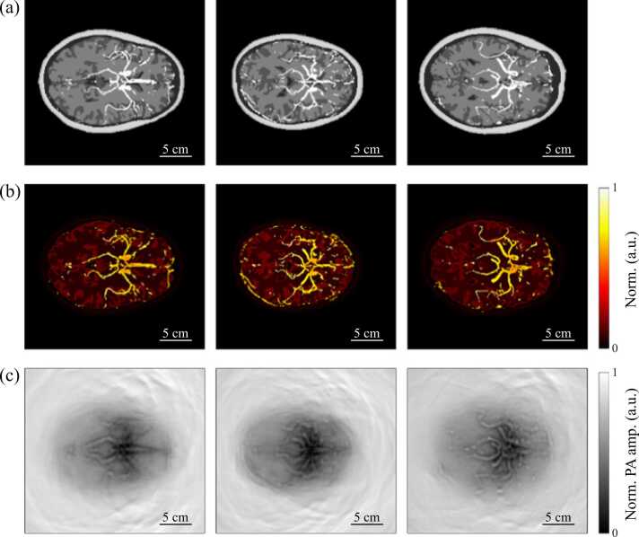 Fig. 4