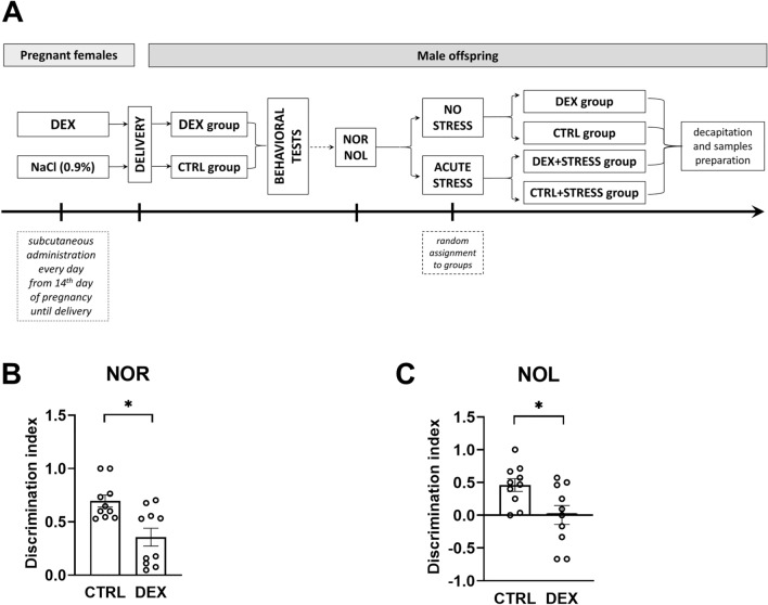 Fig. 2