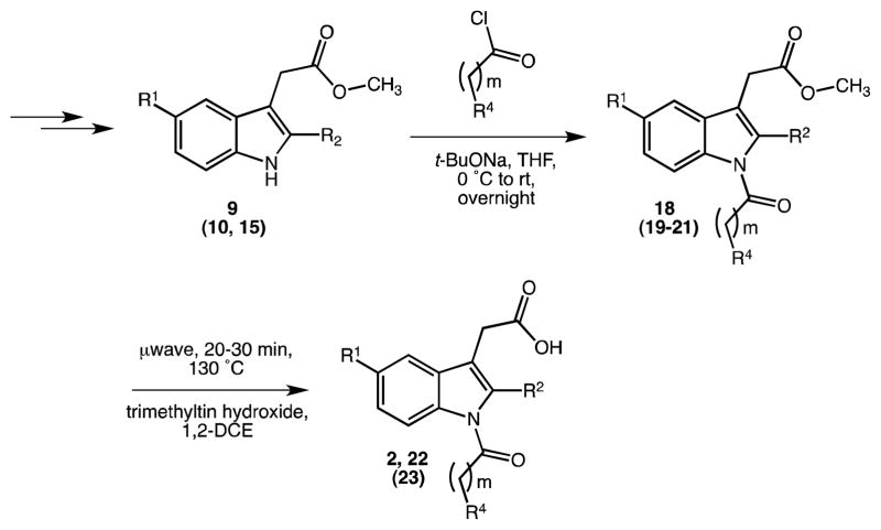 Scheme 5