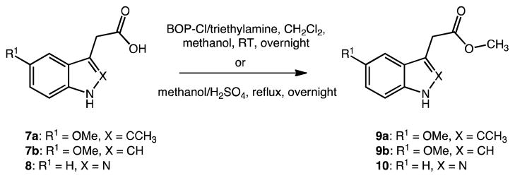 Scheme 2