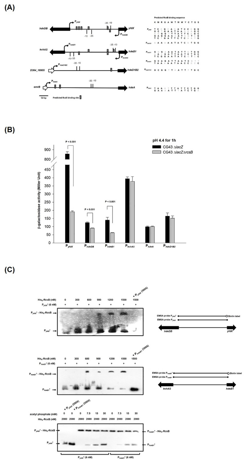 Fig 7