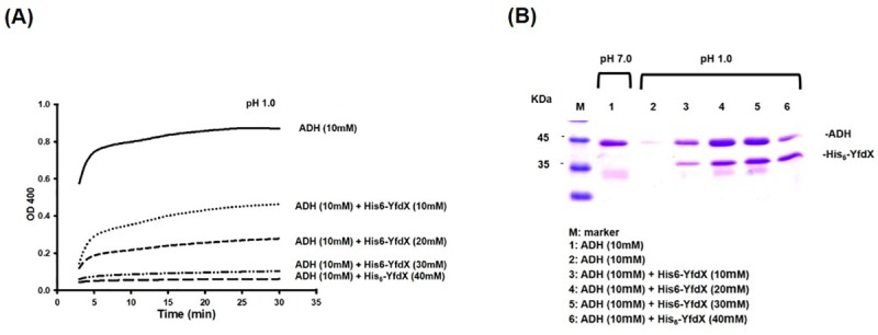 Fig 6