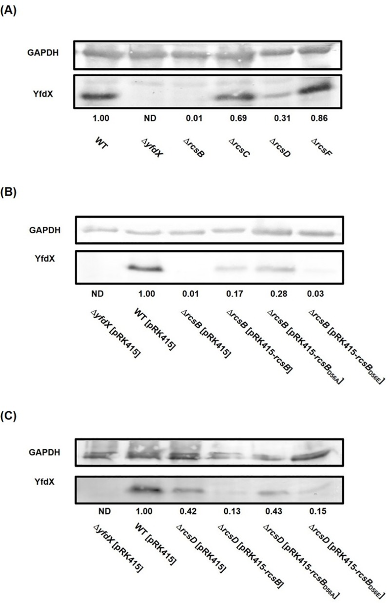 Fig 8