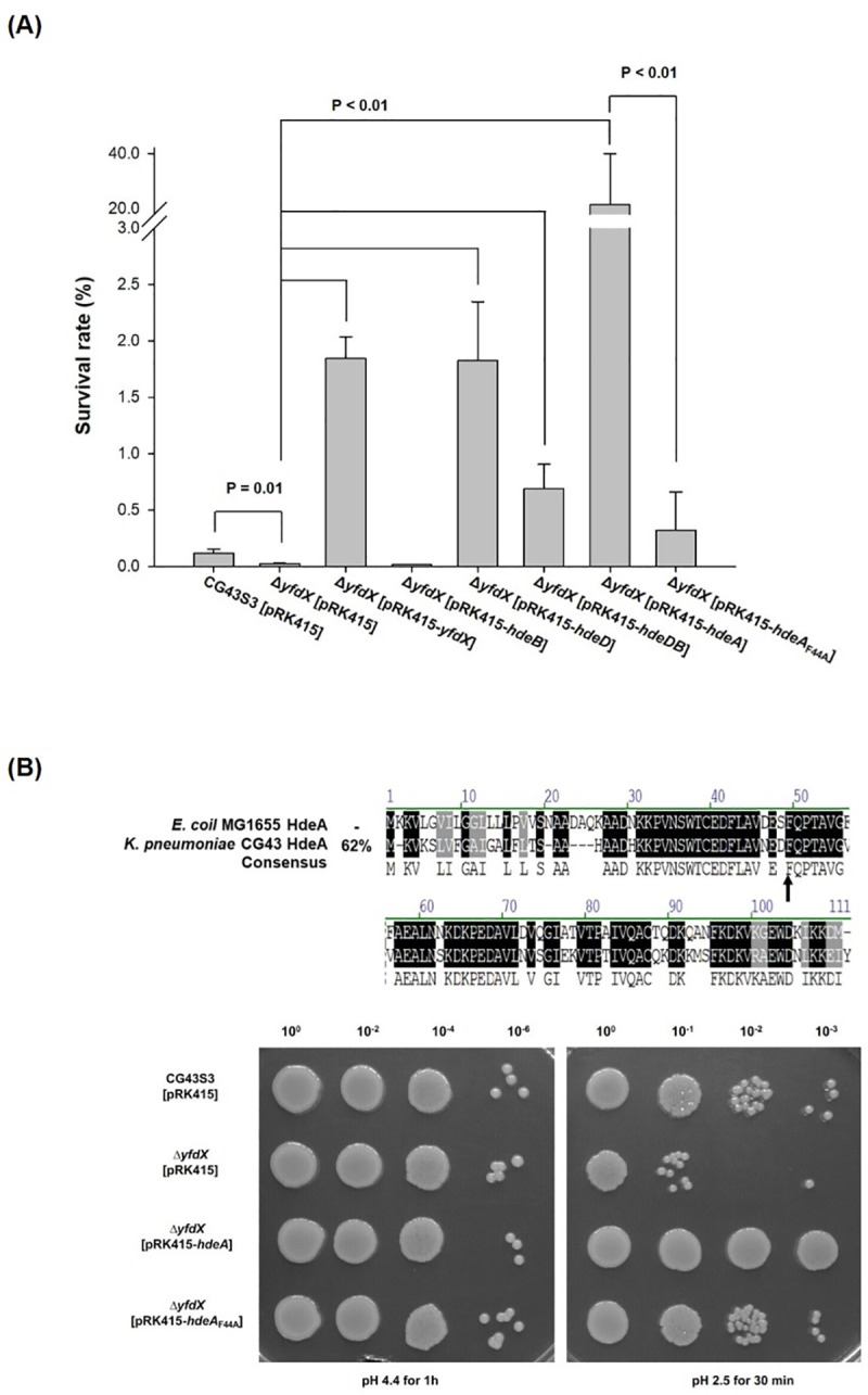 Fig 5