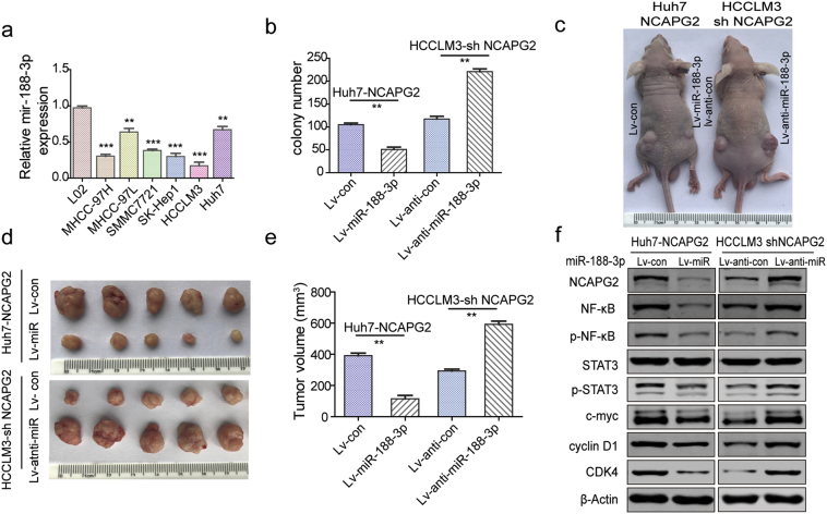 Supplementary Fig. 9