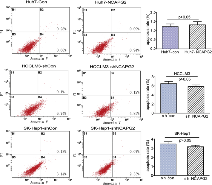 Supplementary Fig. 2