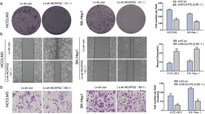 Supplementary Fig. 3