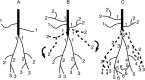 Fig. 10.