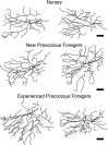 Fig. 9.