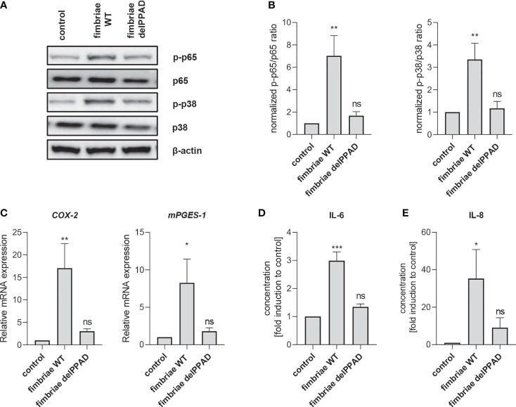 Figure 6