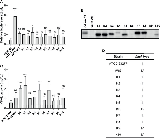 Figure 4