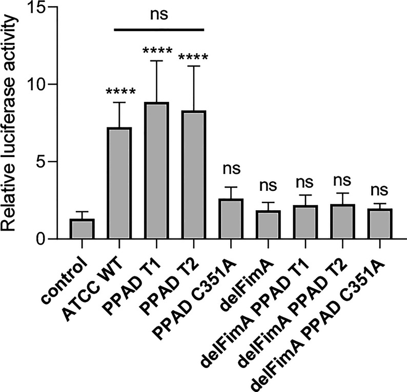 Figure 3