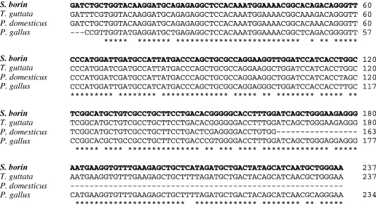 Figure 2.