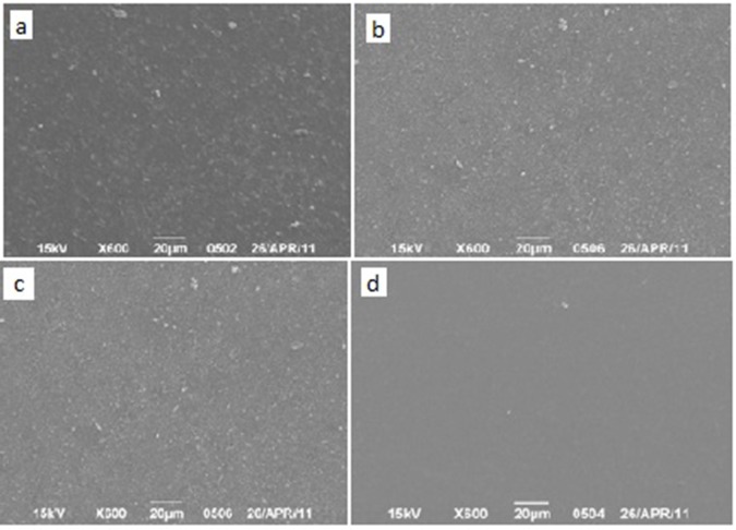 Fig.2: SEM images of the surfaces of the specimen after 24 hours of ultrasonic scaling.