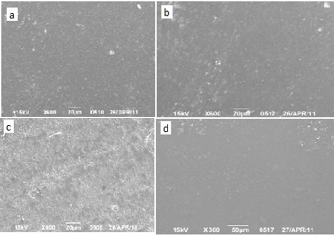 Fig.3: SEM images of surfaces of the specimen after storage in an acidic drink for 4 months and scaling.