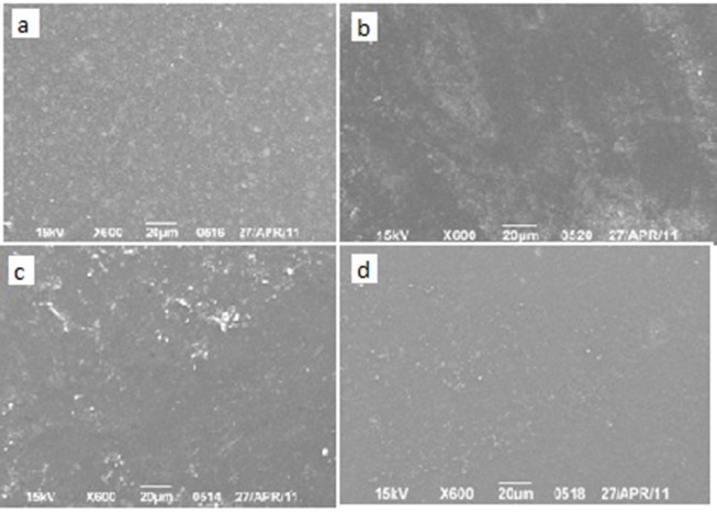 Fig.4: SEM images of surfaces of the specimen after scaling and storage in artificial saliva and mucin for 4 months.