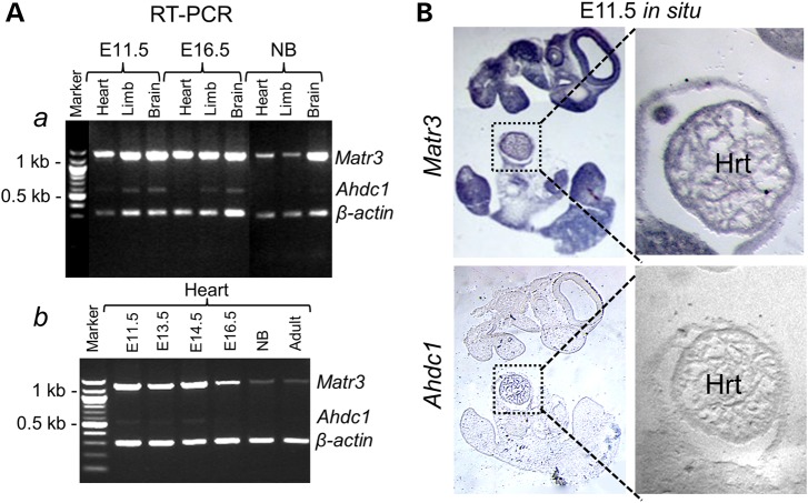 Figure 3.