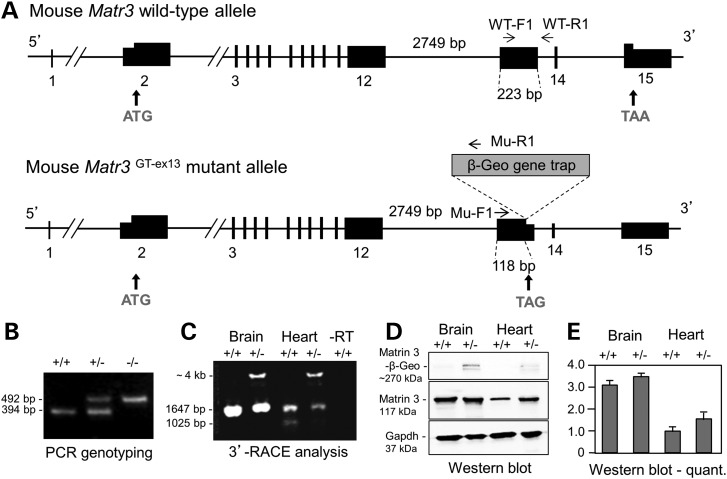 Figure 4.