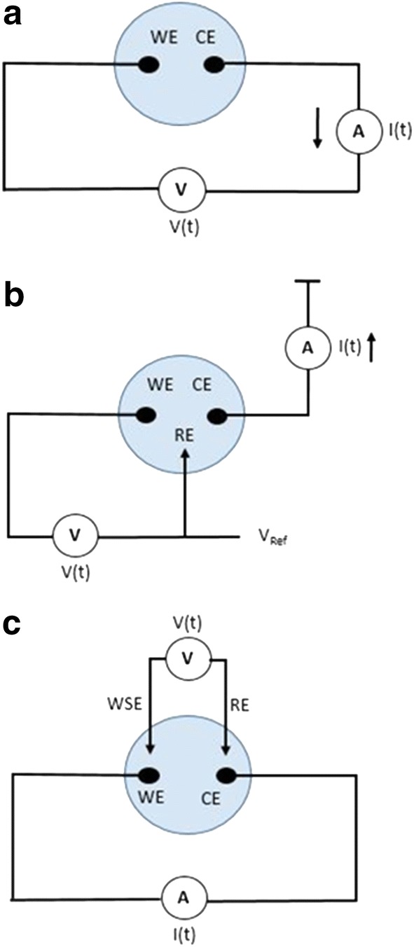 Fig. 1