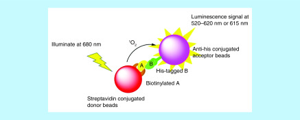 Figure 7. 