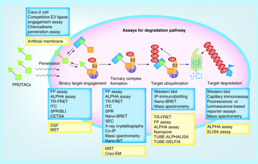 Figure 16. 