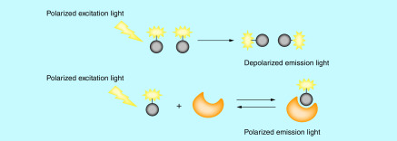 Figure 5. 