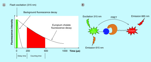 Figure 9. 