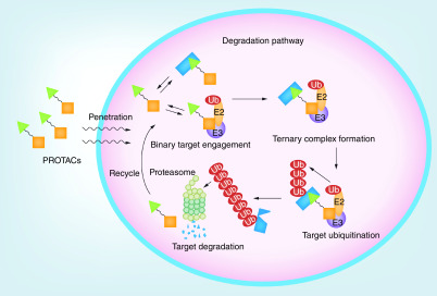 Figure 1. 