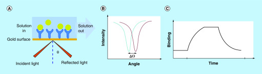 Figure 12. 