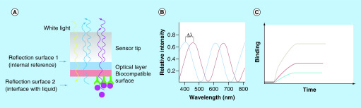 Figure 13. 