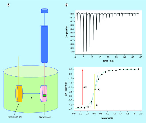 Figure 10. 