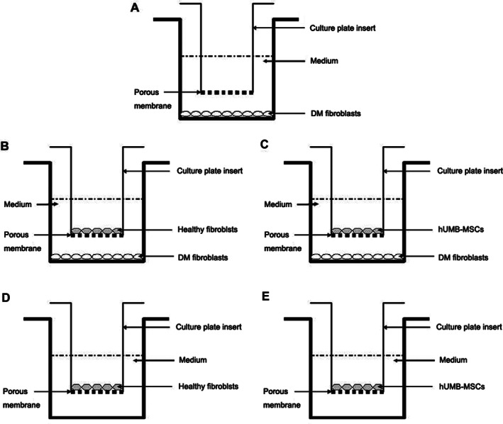 IWJ-12849-FIG-0001-b