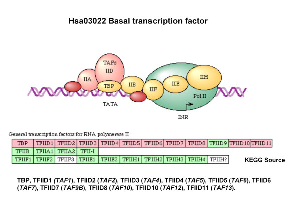 Figure 12