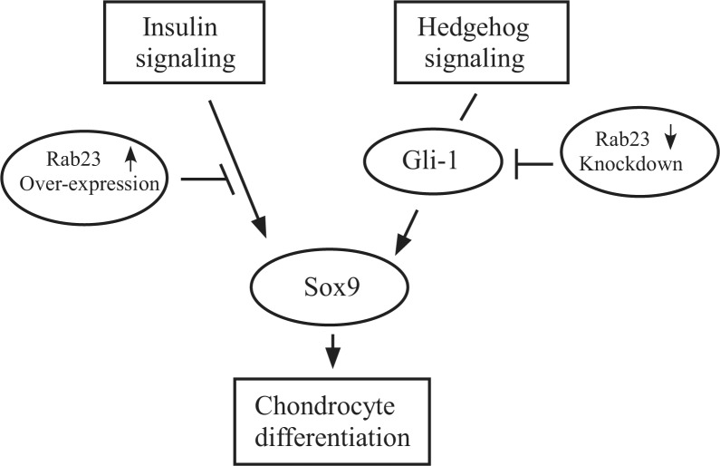 FIGURE 10.