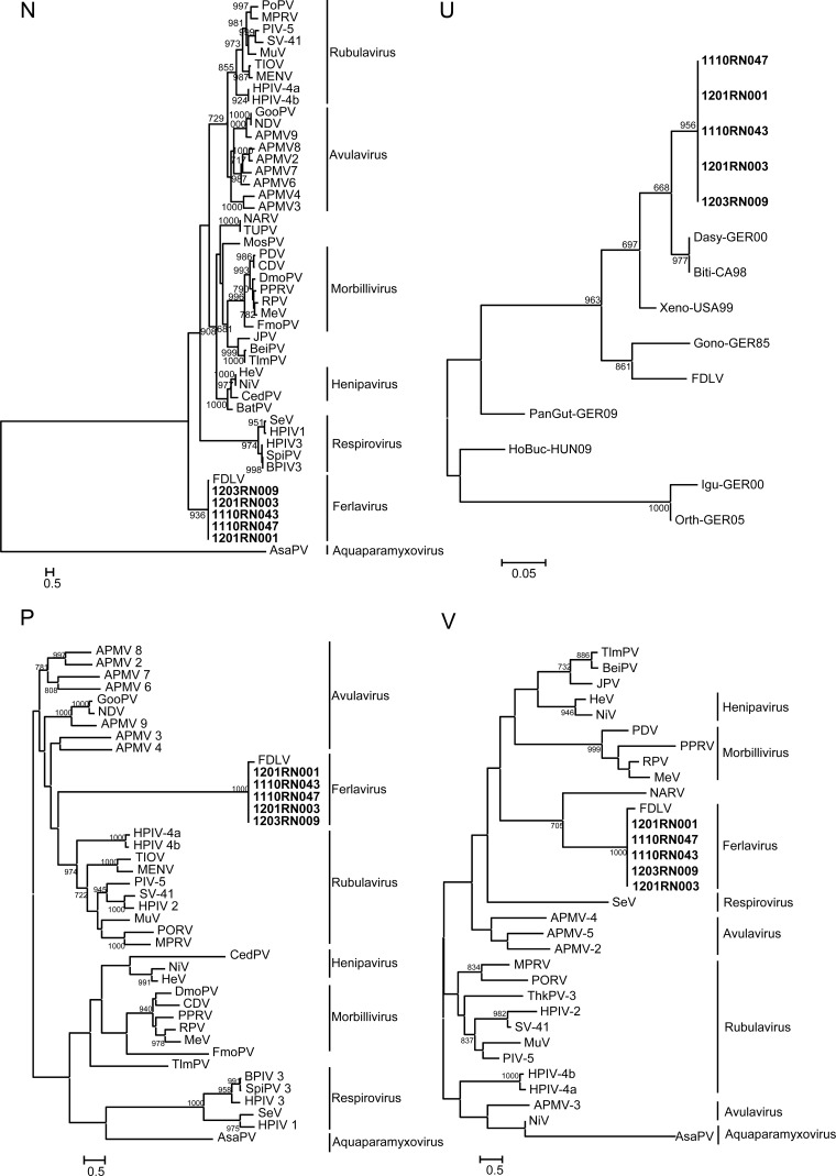 FIG 2