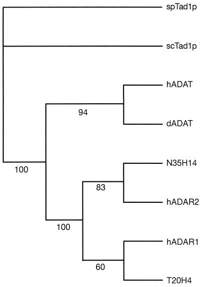 FIG. 6