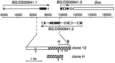 FIG. 1